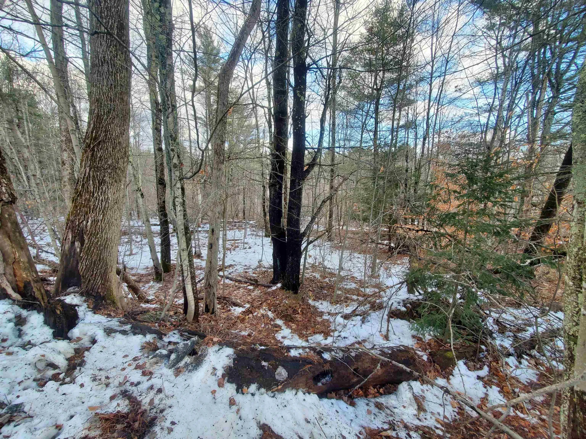 Lot 1 South Hemlock Road Charlestown NH 03603