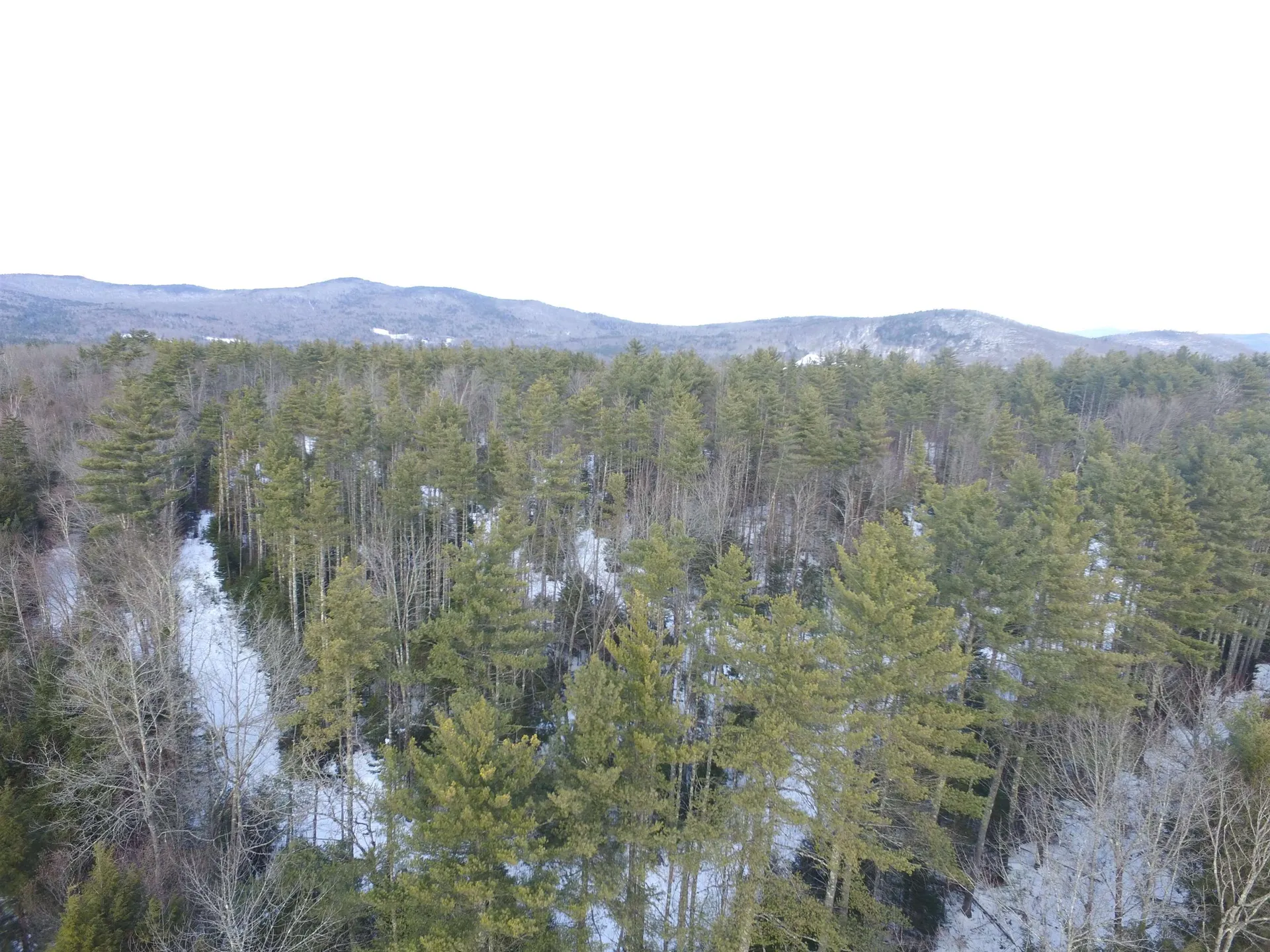 01 Windmill Road Campton NH 03223