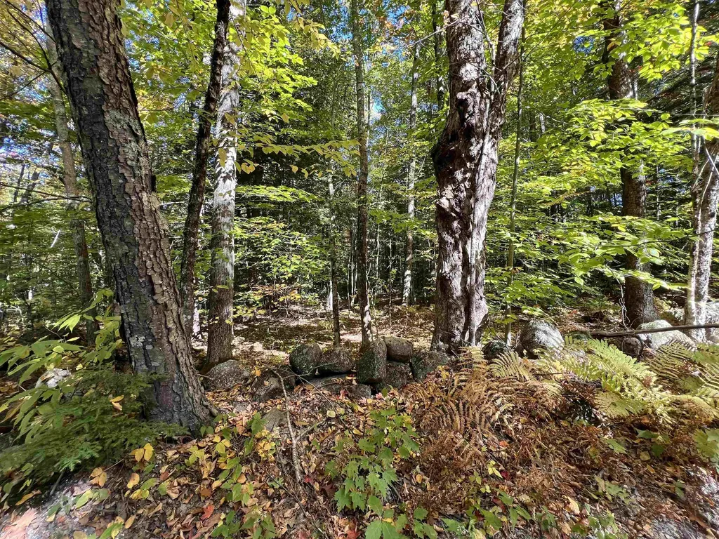 Peasley Road Henniker NH 03242
