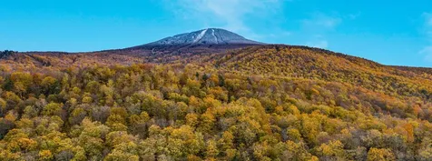 475 Brookwood Mendon VT 05701