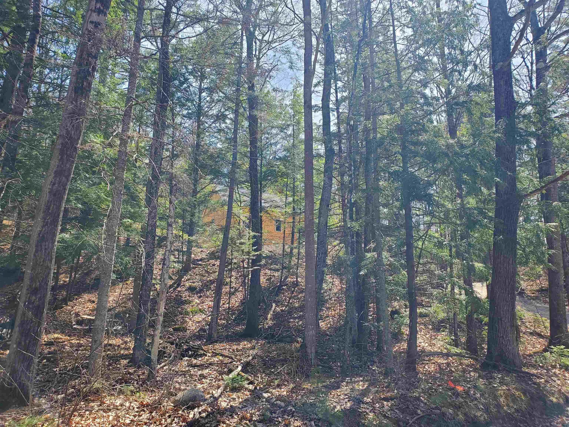 0 Tunnel Road Grafton NH 03240