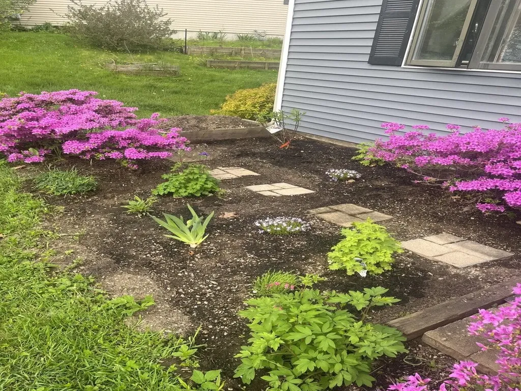 993 Williams Road Colchester VT 05446