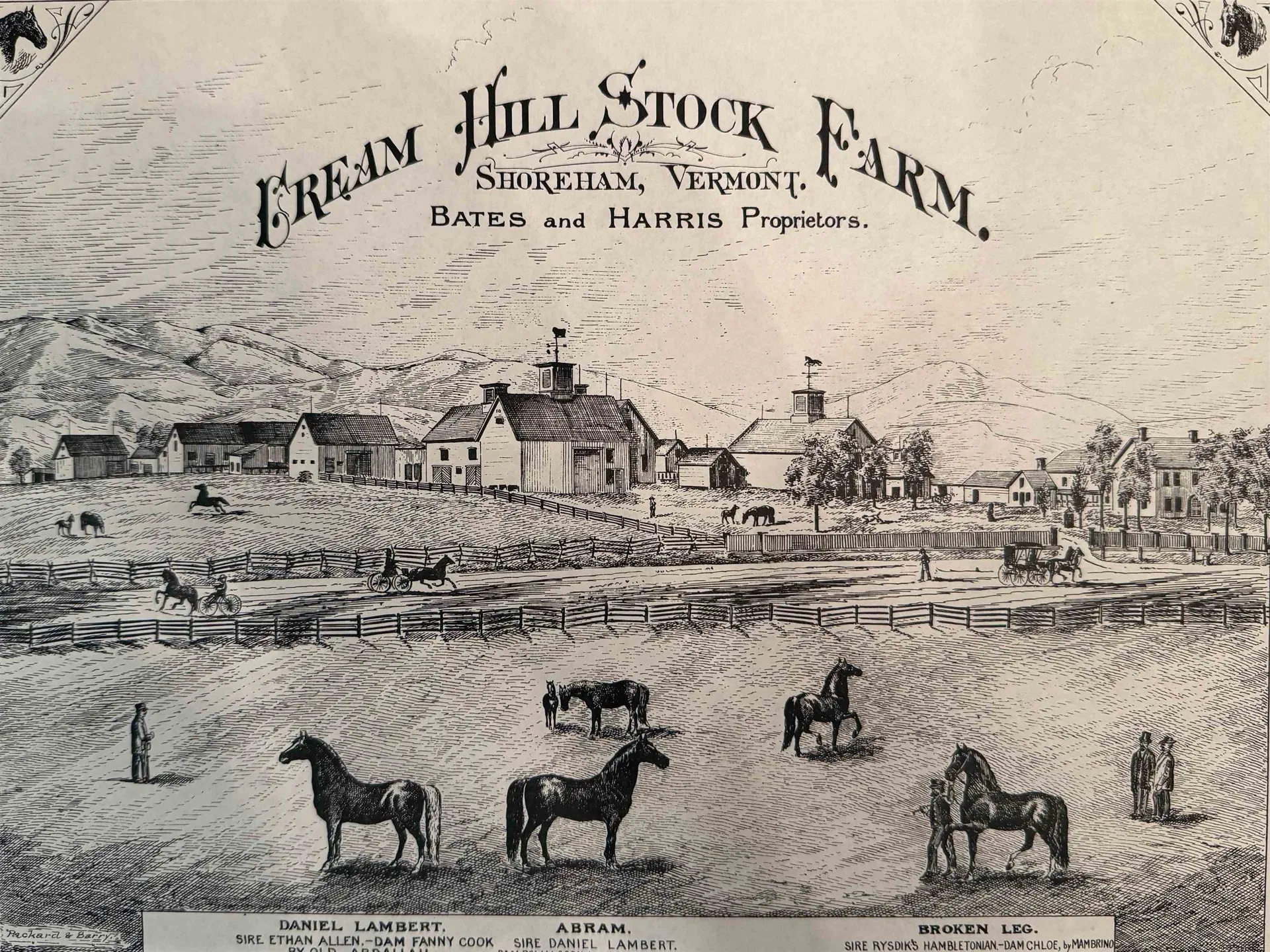 2801 Basin Harbor Road Shoreham VT 05770