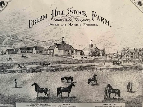 2801 Basin Harbor Road Shoreham VT 05770