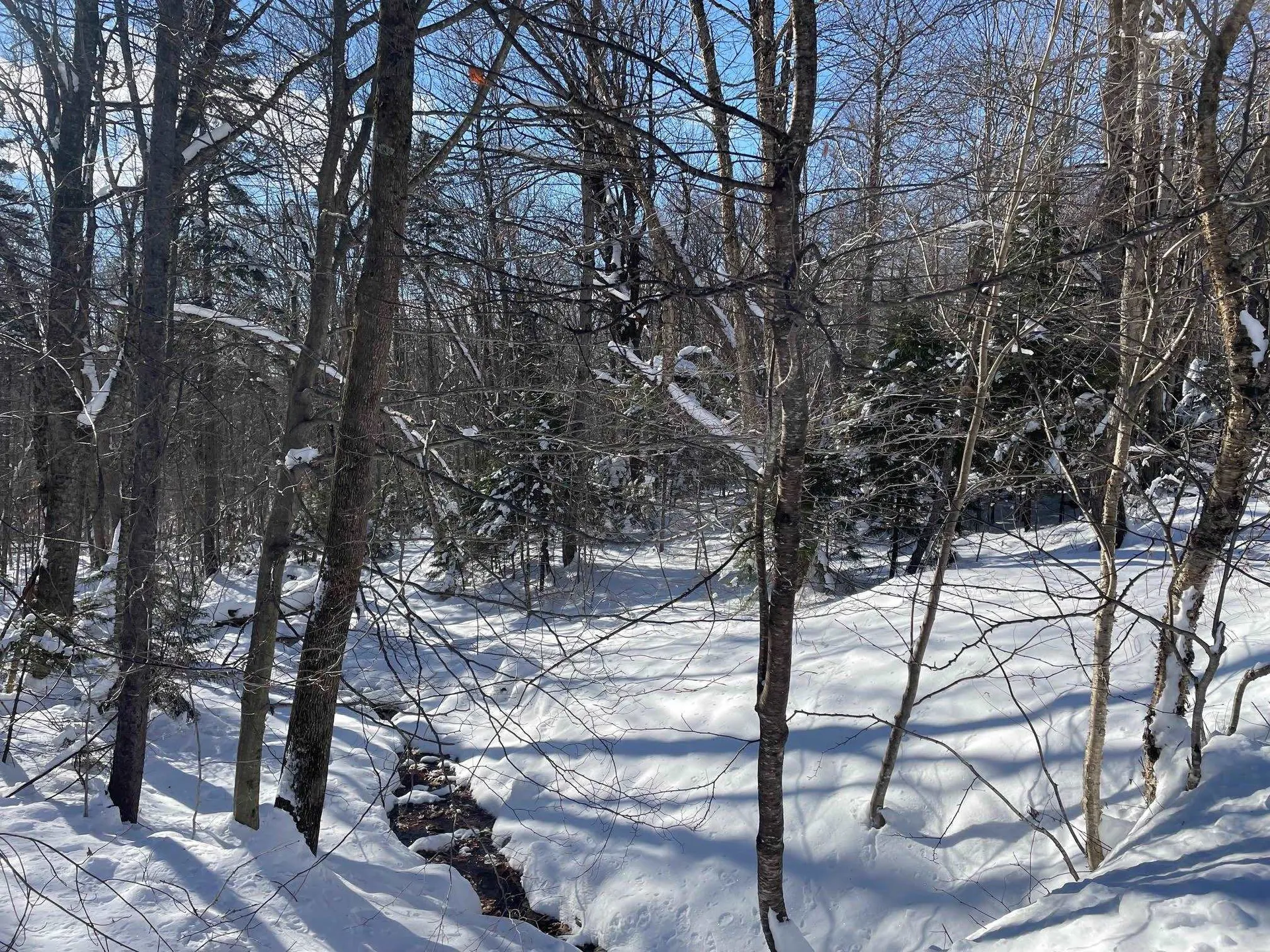 29 Woodsman Road Dover VT 05363