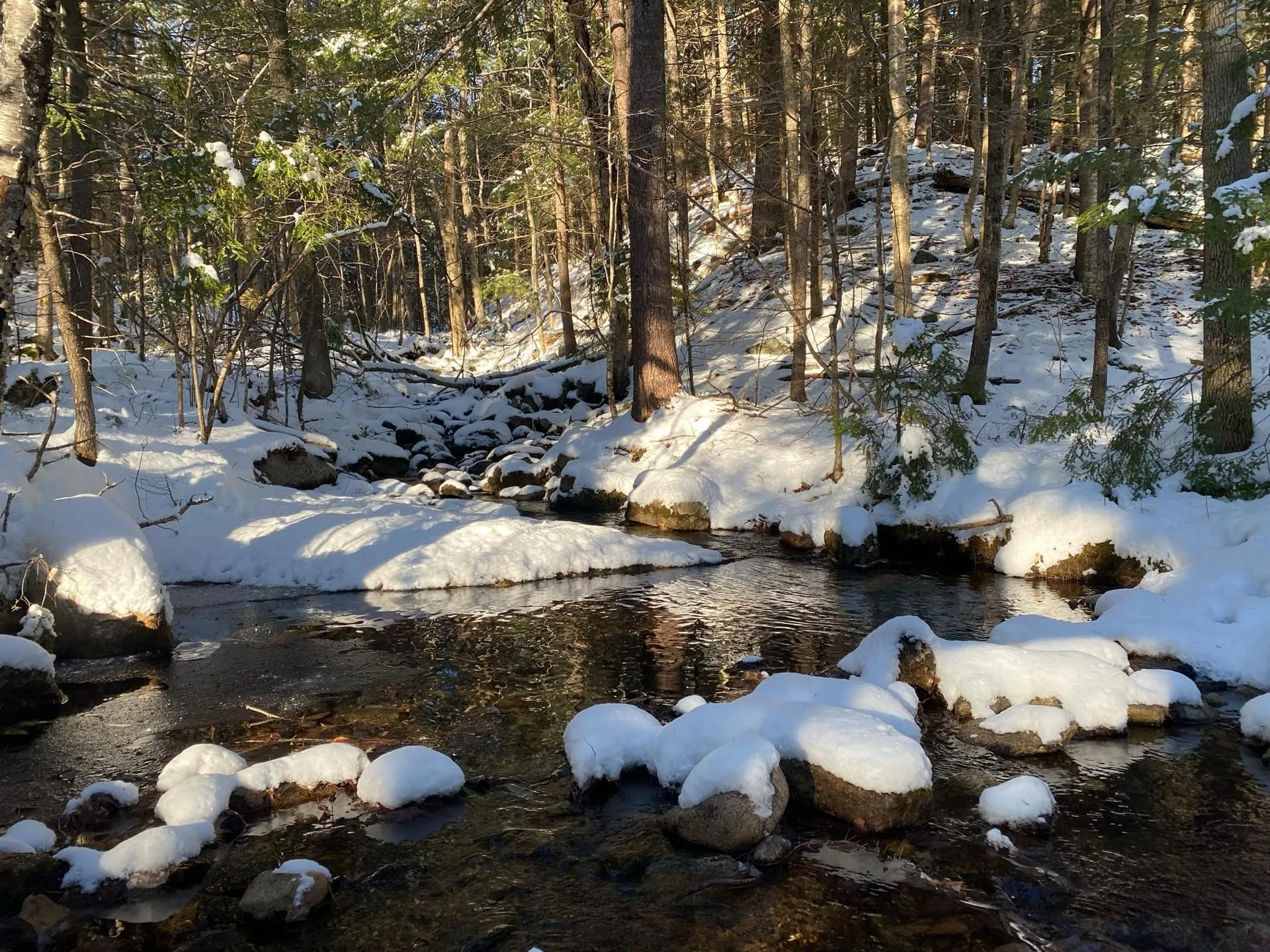 8 Robbins Hill Road Chatham NH 04813