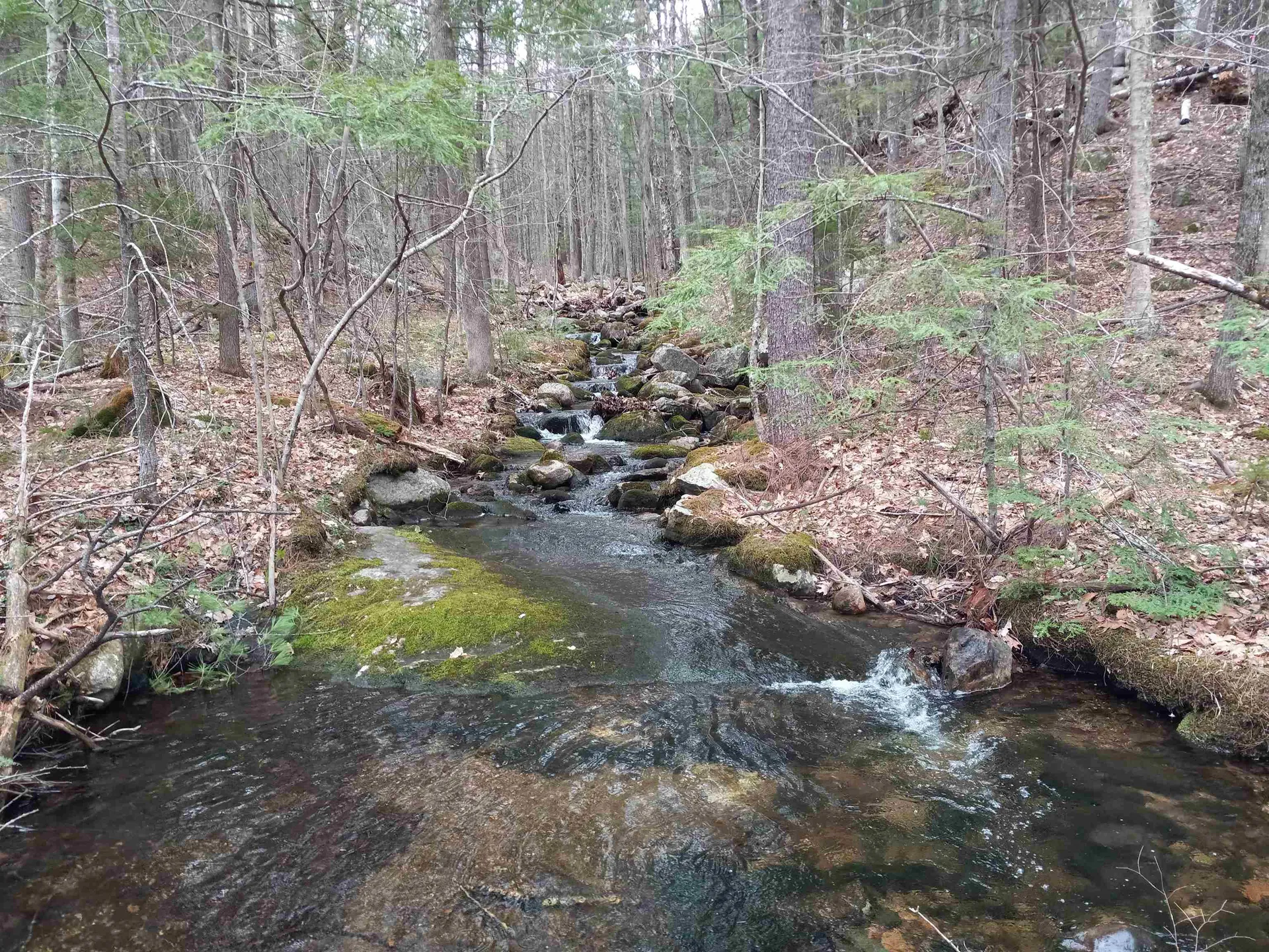 8 Robbins Hill Road Chatham NH 04813