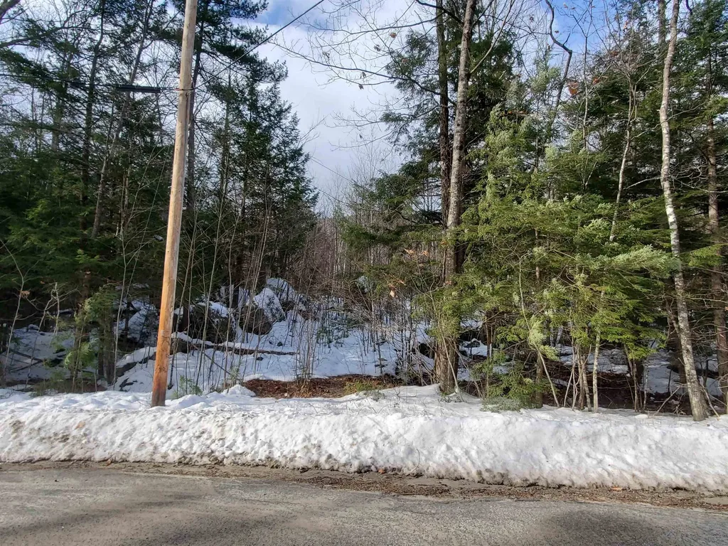 Lot 23 East Washington Road Bradford NH 03221