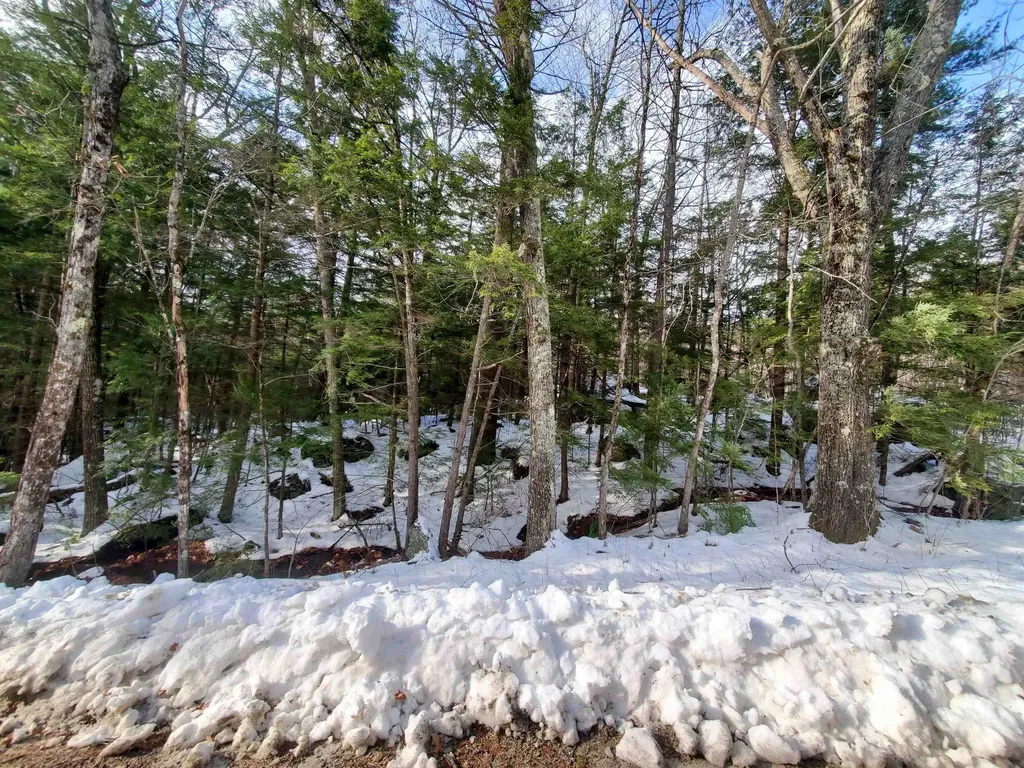 Lot 23 East Washington Road Bradford NH 03221