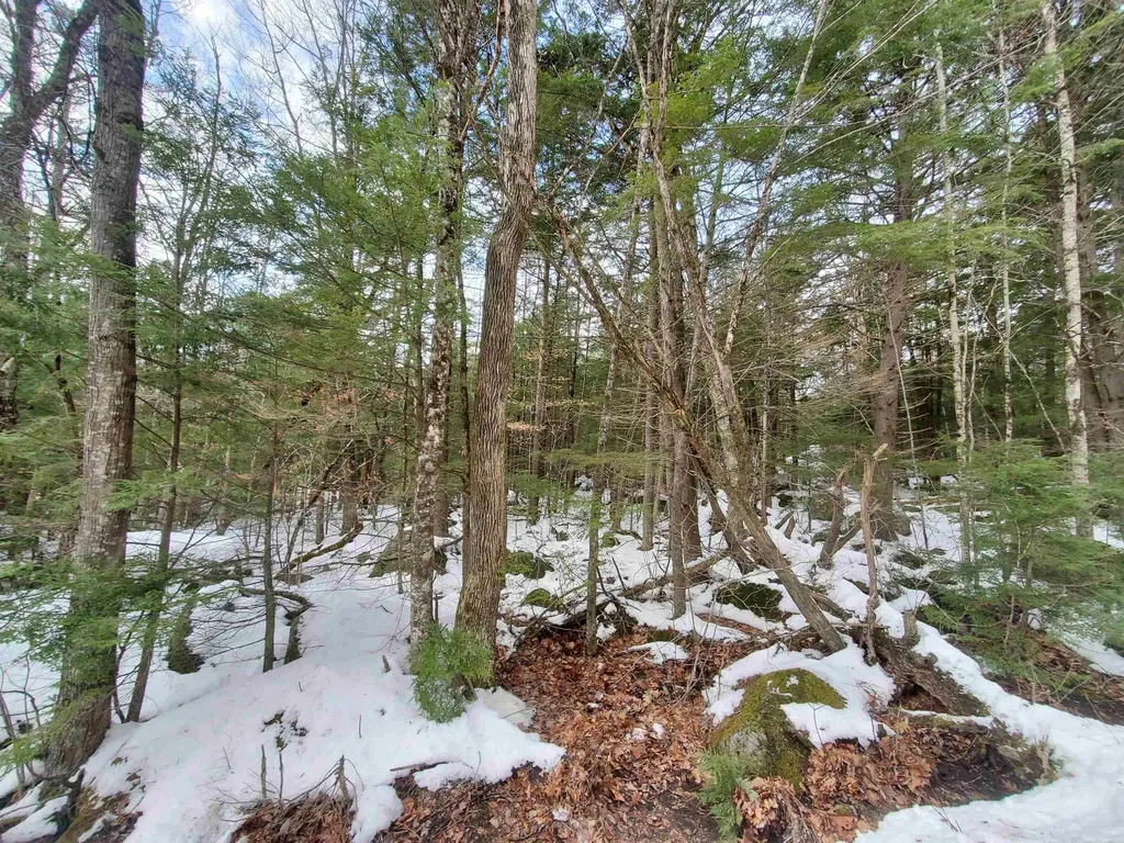 Lot 23 East Washington Road Bradford NH 03221