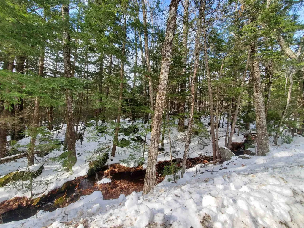 Lot 23 East Washington Road Bradford NH 03221