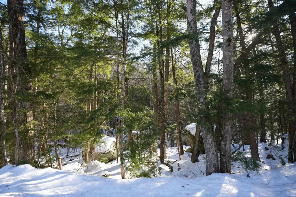 Lot 23 East Washington Road Bradford NH 03221