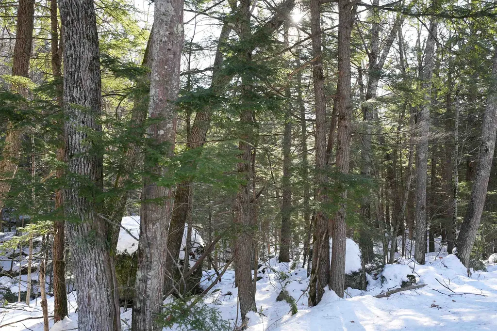 Lot 23 East Washington Road Bradford NH 03221