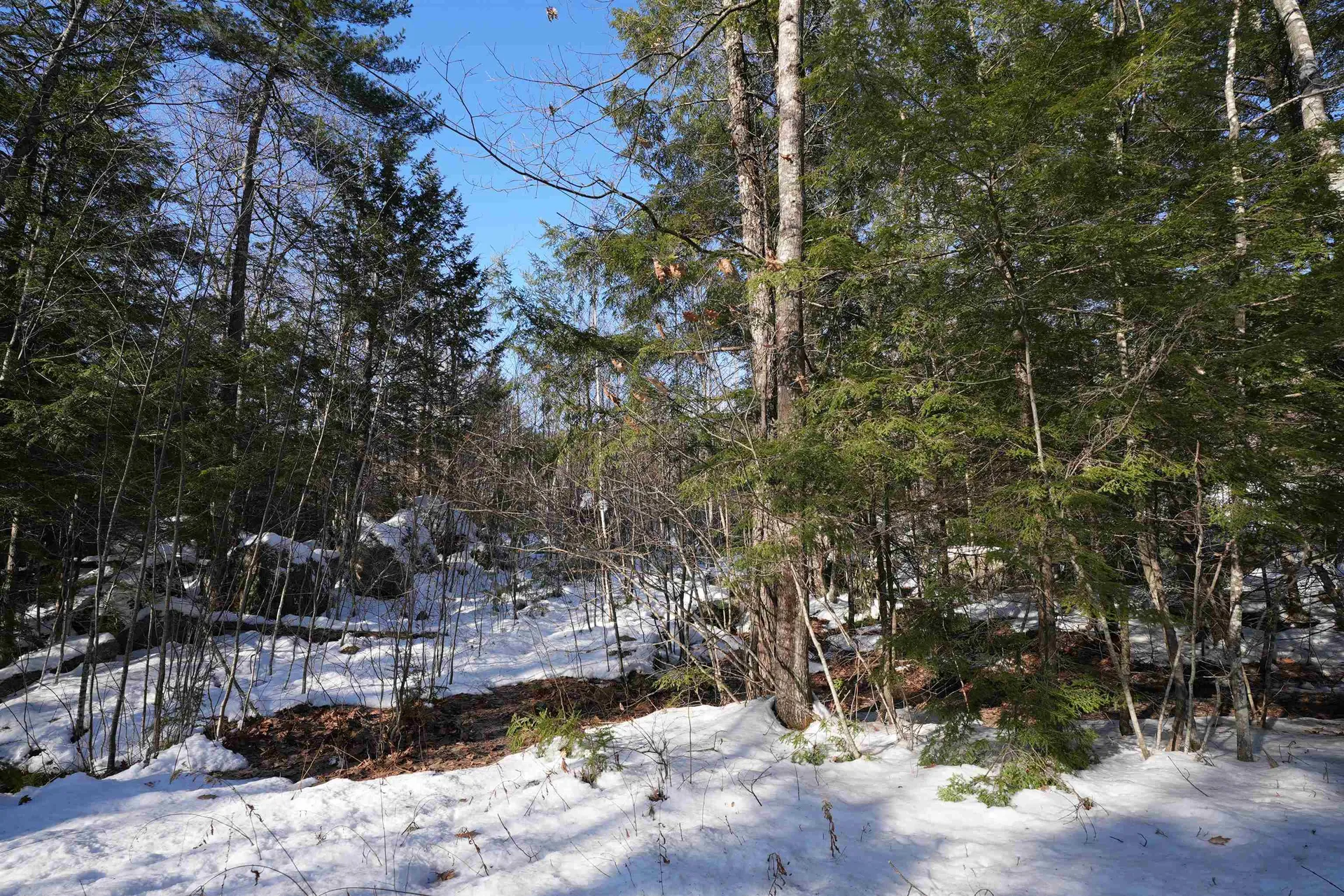 Lot 23 East Washington Road Bradford NH 03221