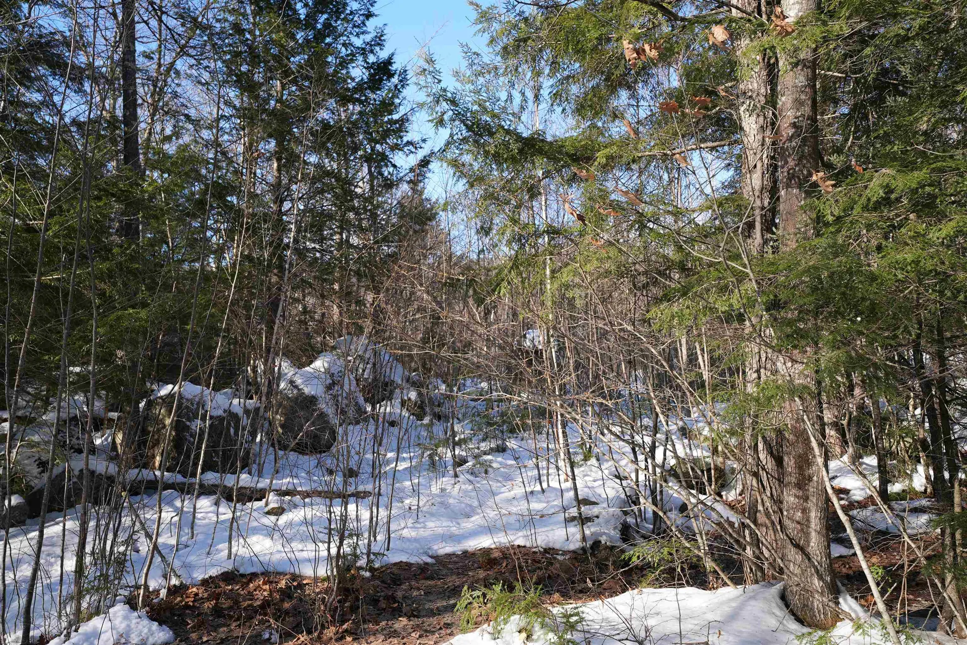 Lot 23 East Washington Road Bradford NH 03221