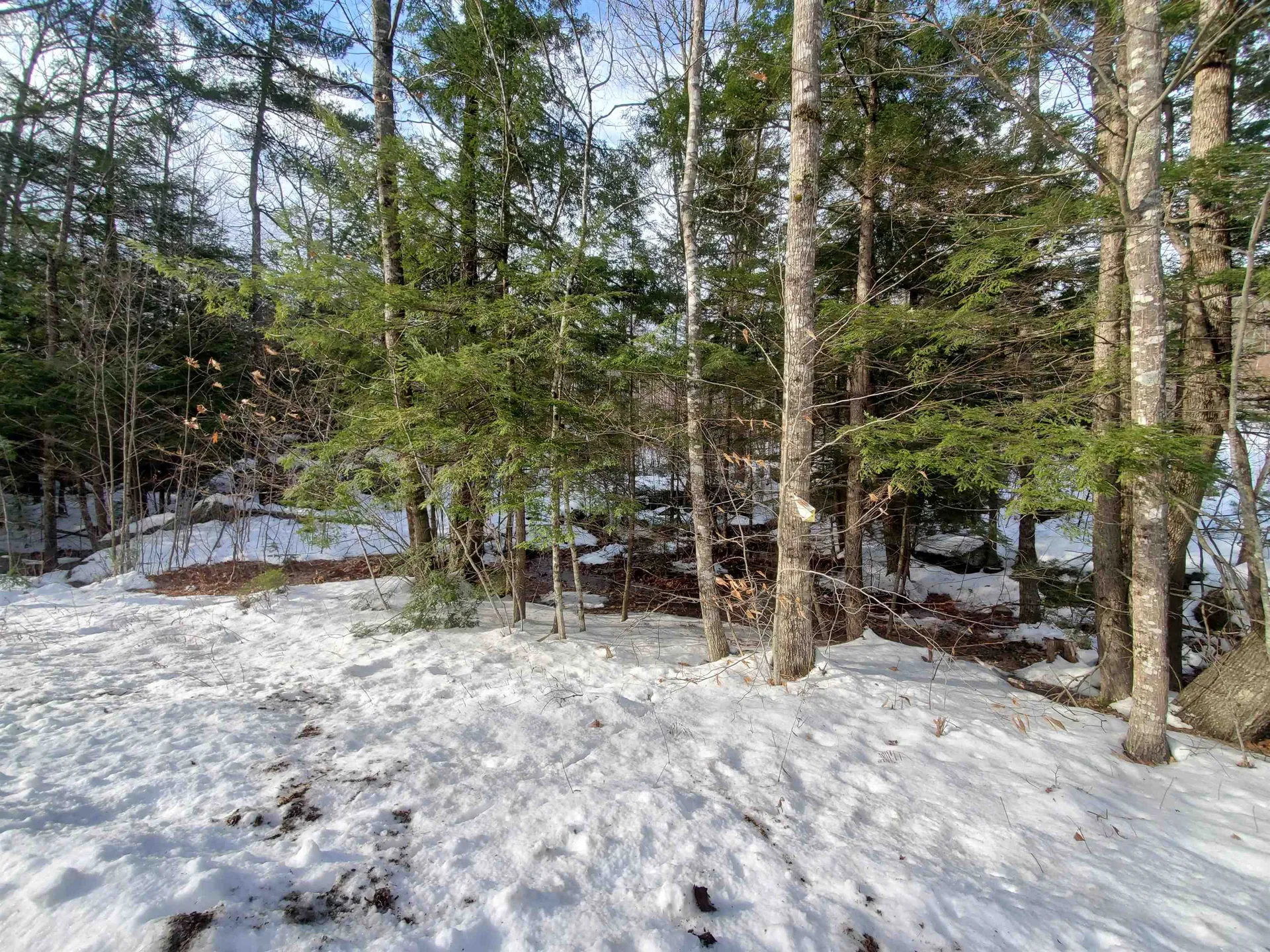 Lot 23 East Washington Road Bradford NH 03221