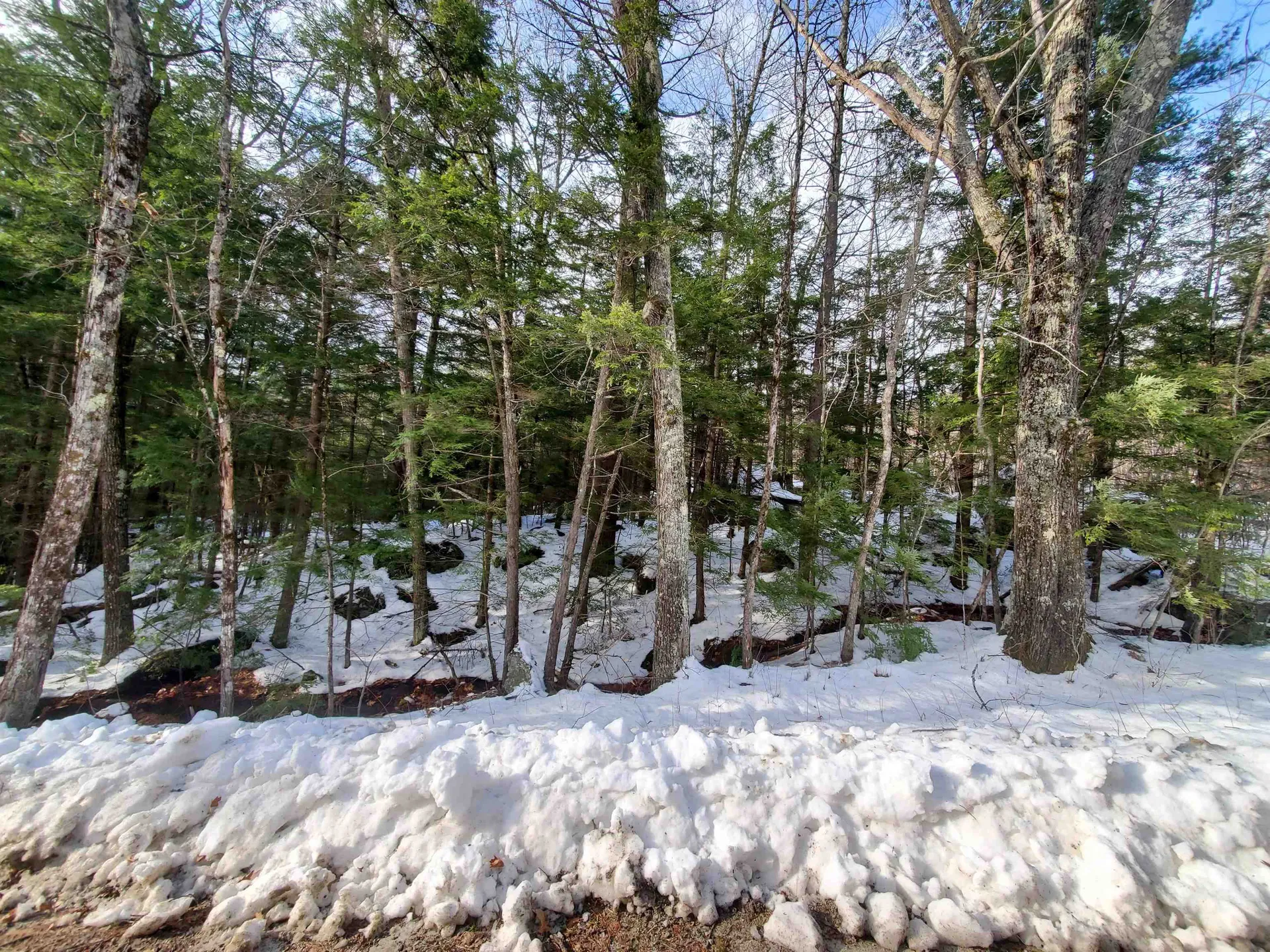 Lot 23 East Washington Road Bradford NH 03221