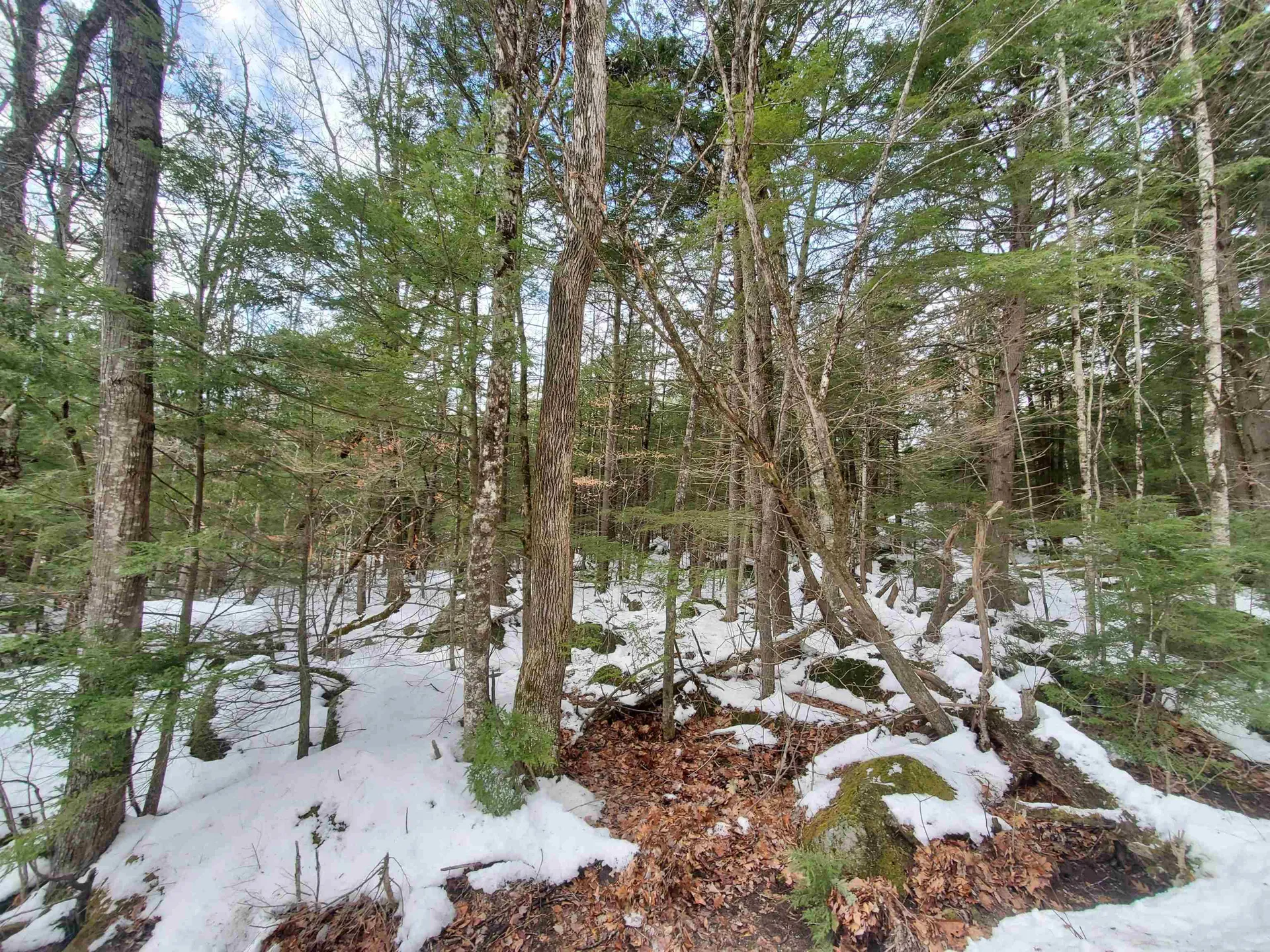 Lot 23 East Washington Road Bradford NH 03221