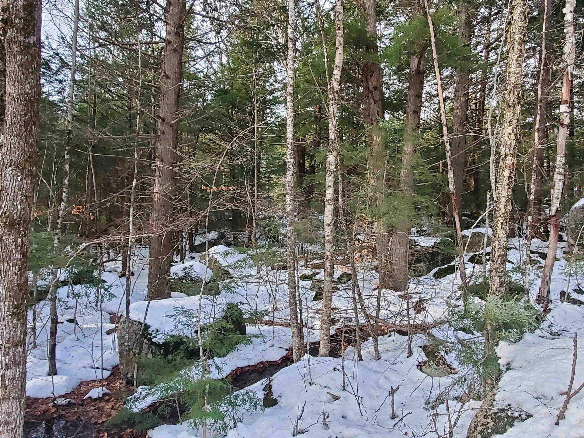 Lot 23 East Washington Road Bradford NH 03221