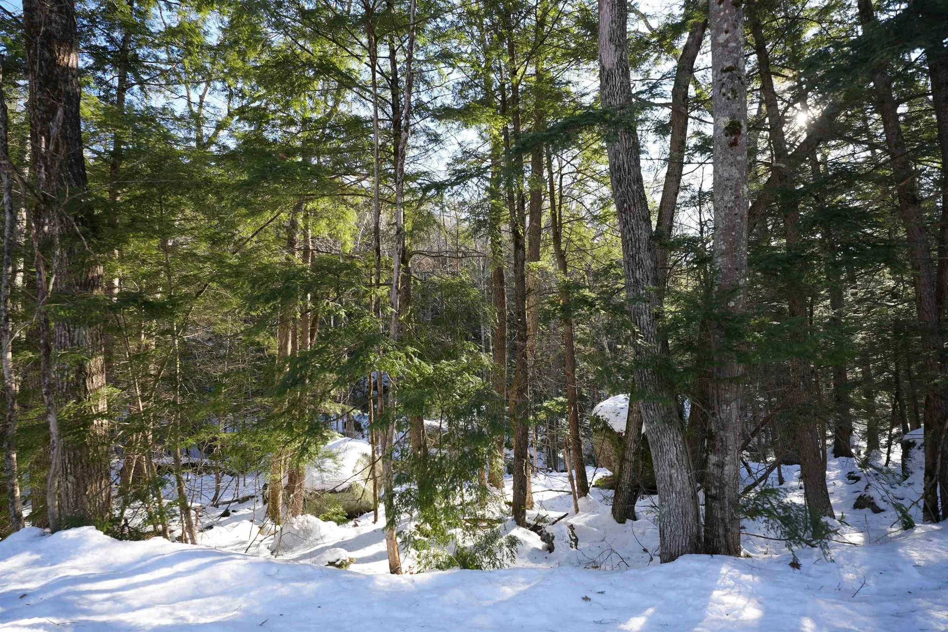 Lot 23 East Washington Road Bradford NH 03221