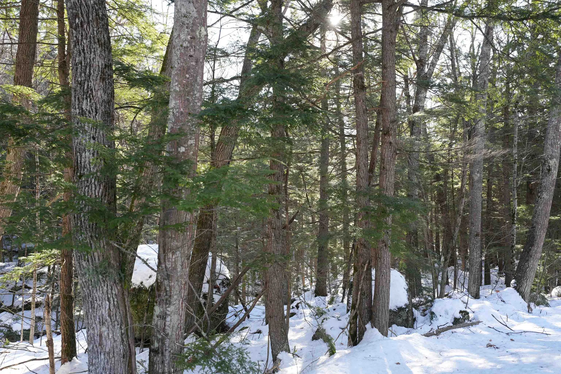 Lot 23 East Washington Road Bradford NH 03221