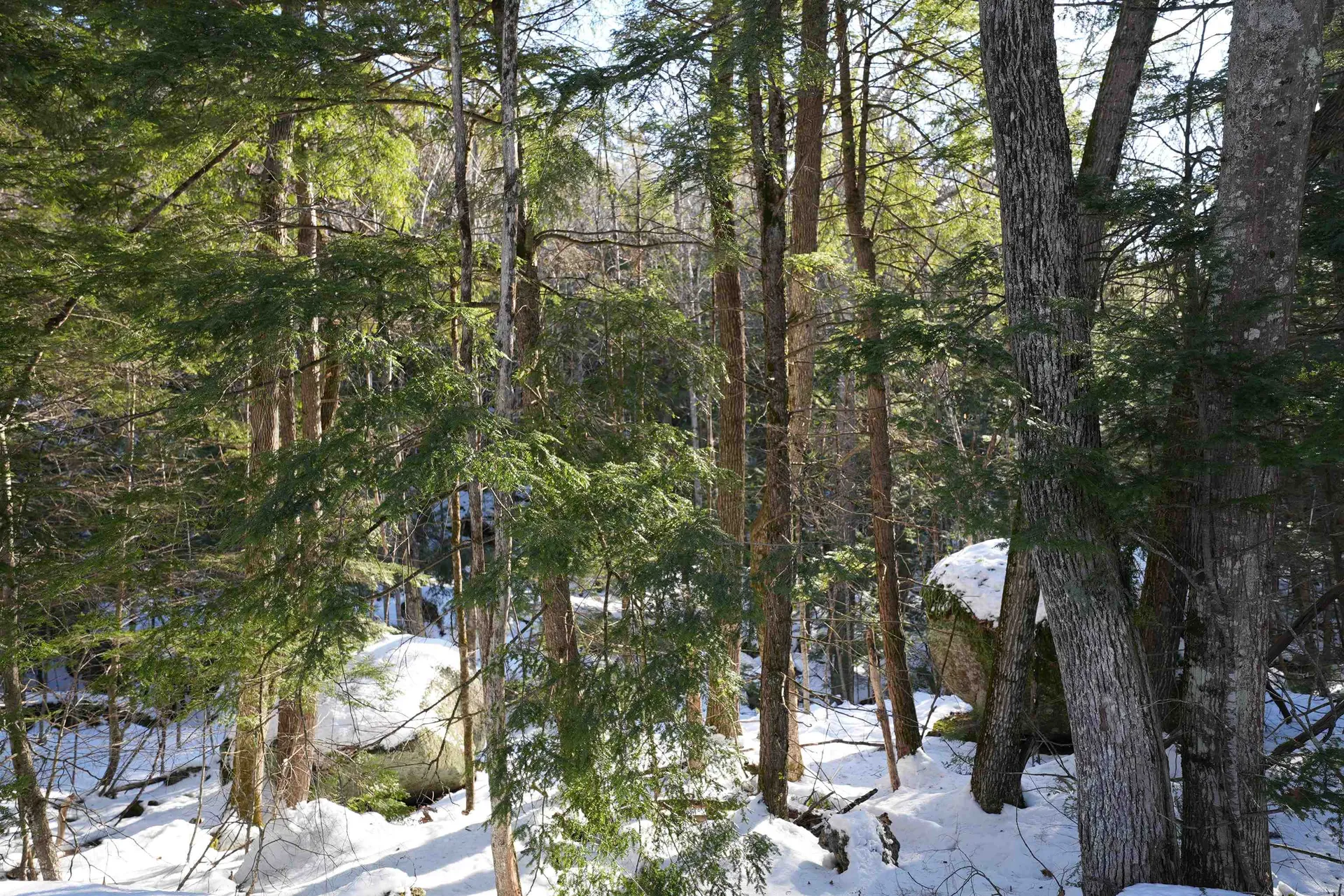 Lot 23 East Washington Road Bradford NH 03221