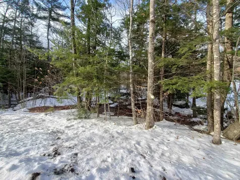Lot 23 East Washington Road Bradford NH 03221