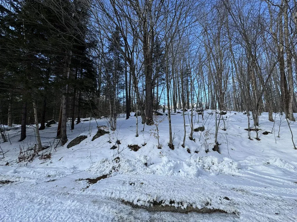 30 Lee Road Readsboro VT 05350