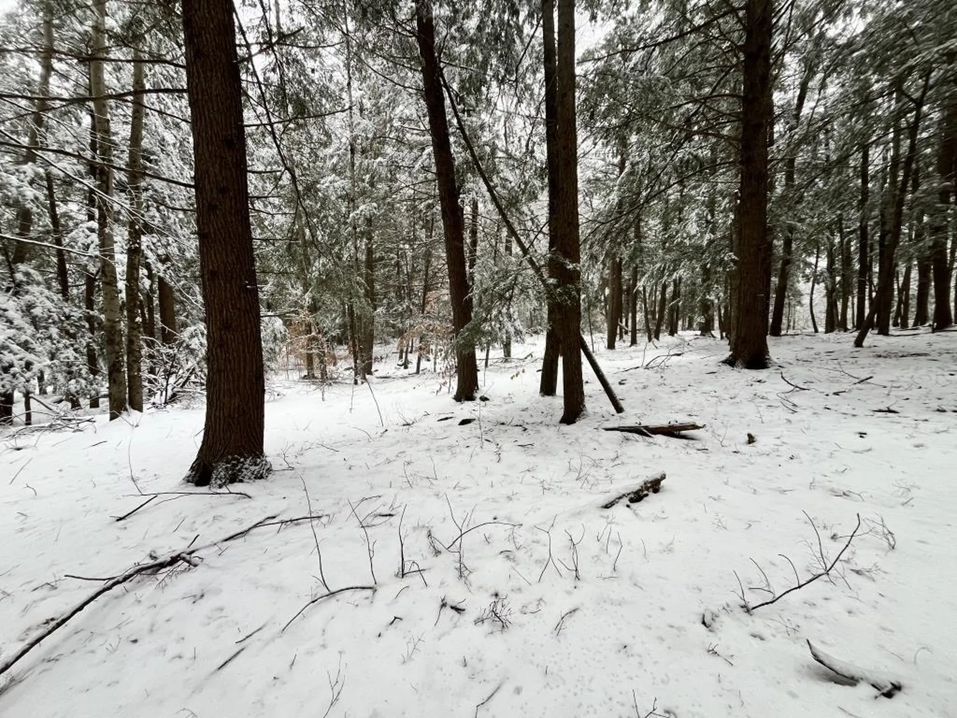 199 Bryant Road Jaffrey NH 03452