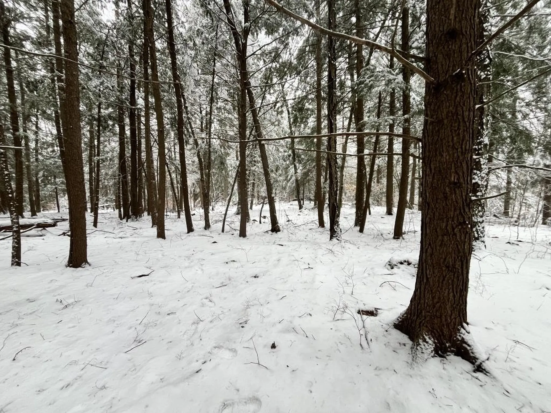 199 Bryant Road Jaffrey NH 03452