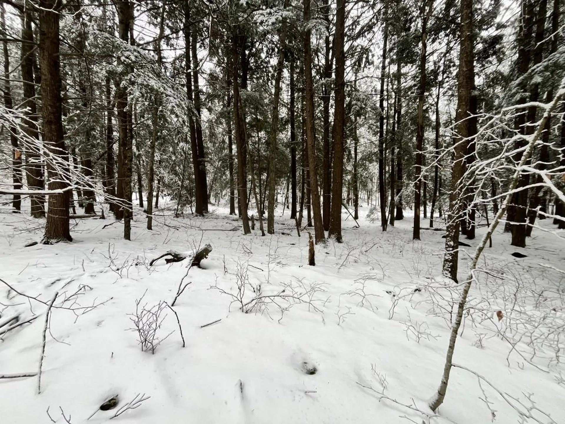 199 Bryant Road Jaffrey NH 03452