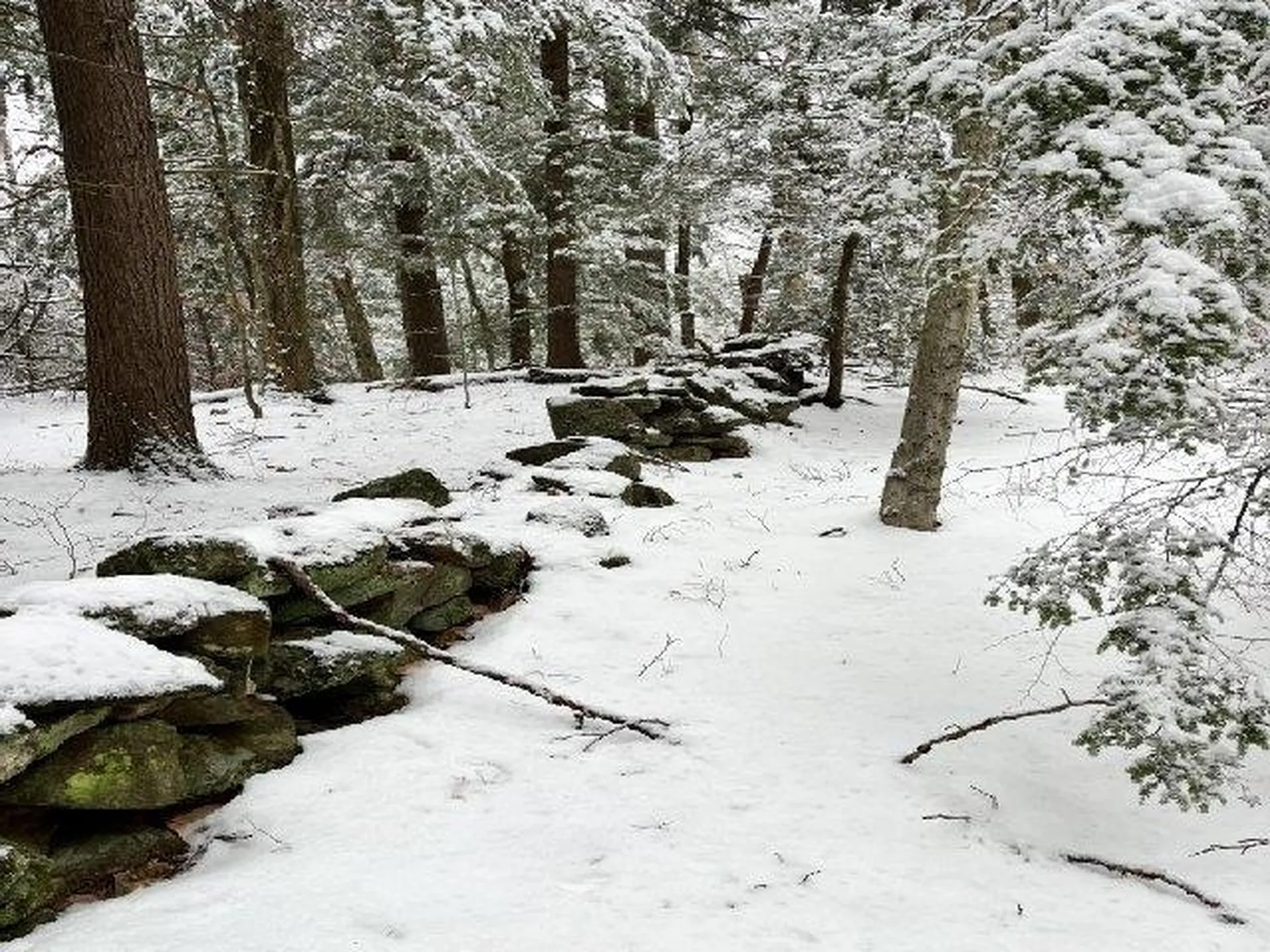 199 Bryant Road Jaffrey NH 03452