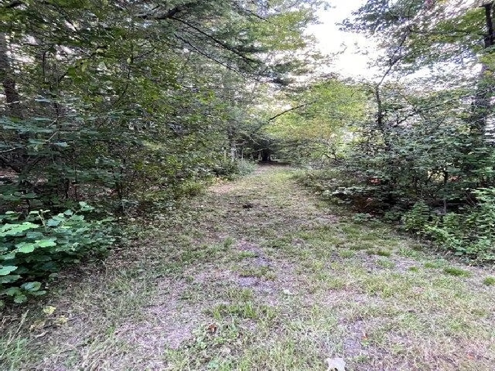 199 Bryant Road Jaffrey NH 03452