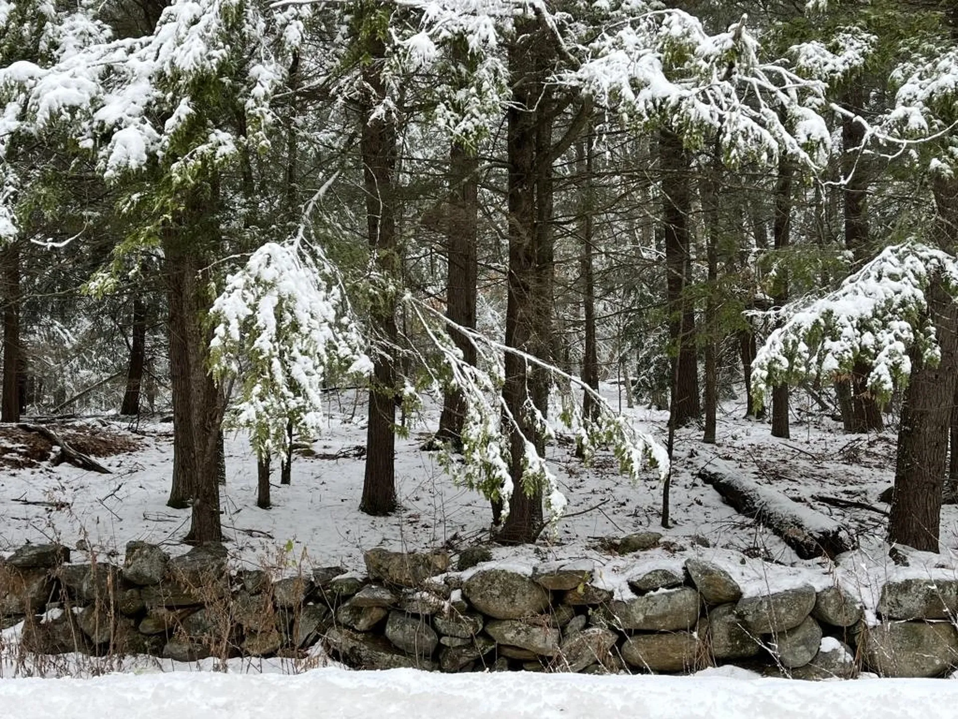 199 Bryant Road Jaffrey NH 03452