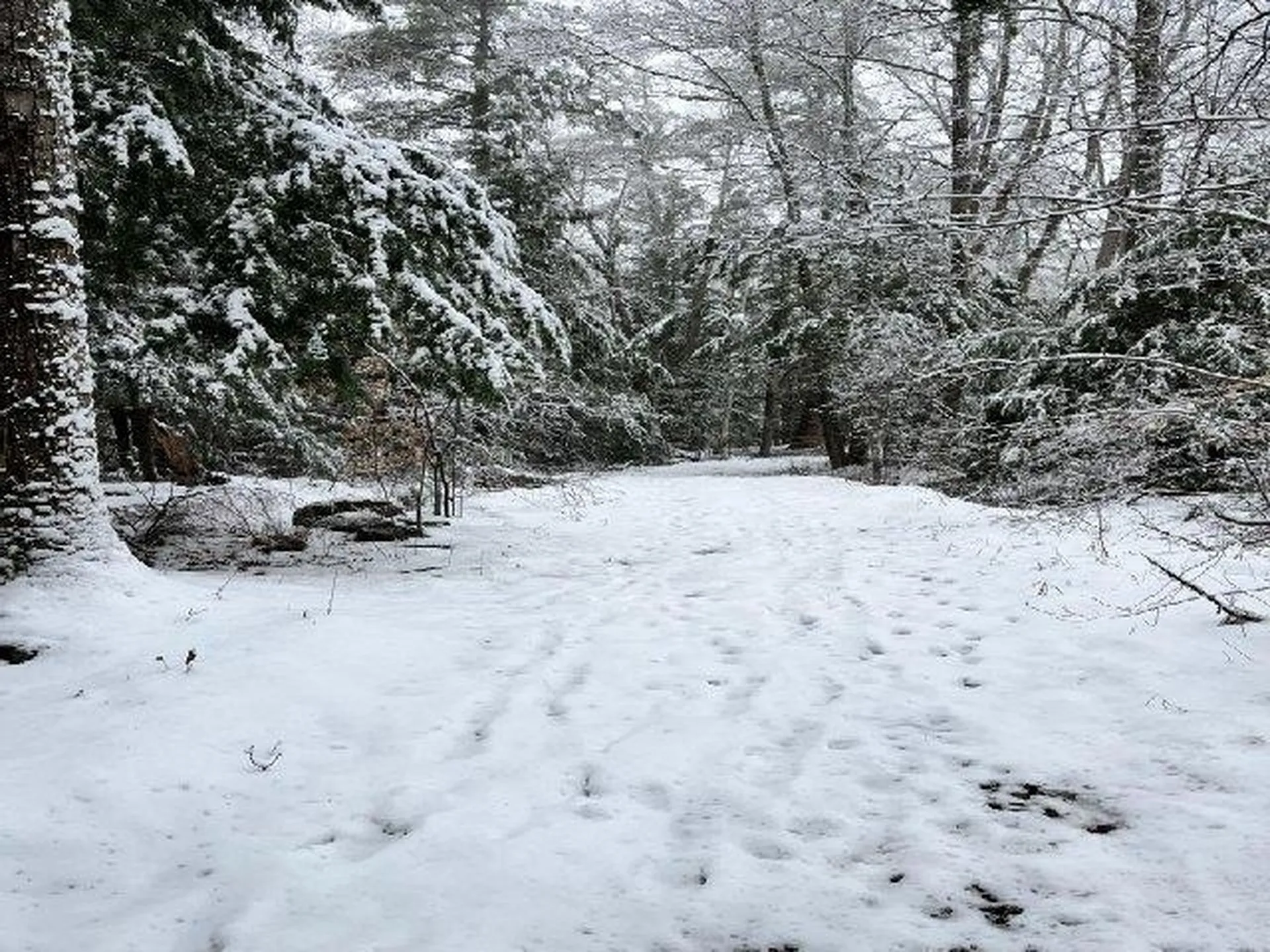 199 Bryant Road Jaffrey NH 03452