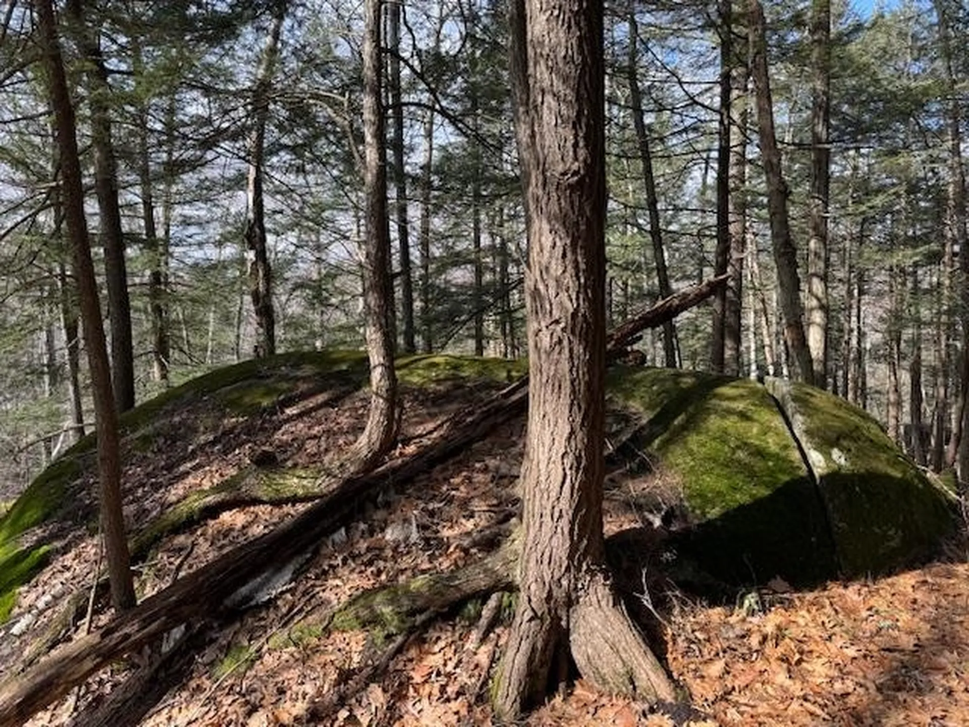 35 Boulder Drive Dublin NH 03444