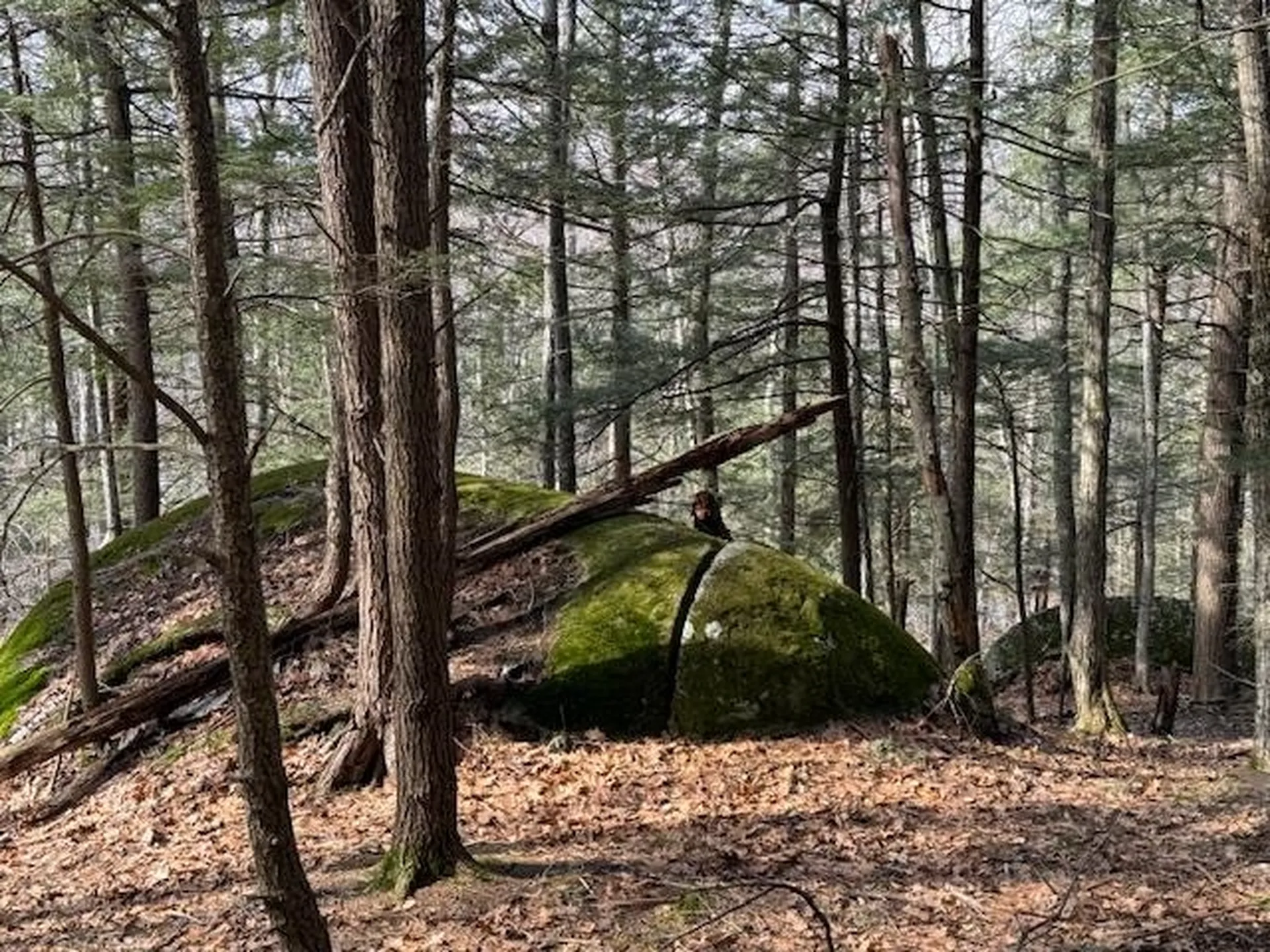 35 Boulder Drive Dublin NH 03444