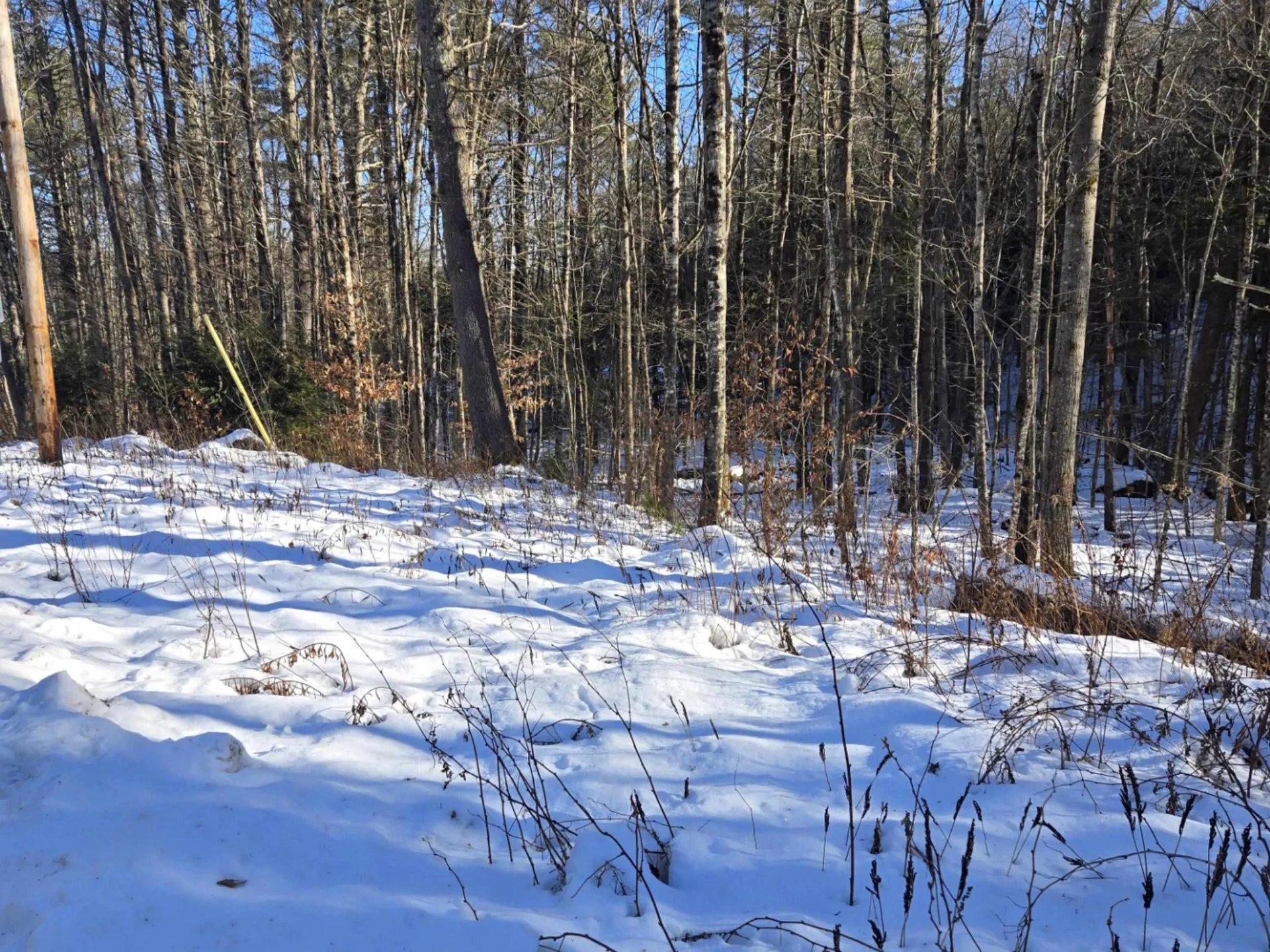 55 Lakeview Heights Alexandria NH 03222