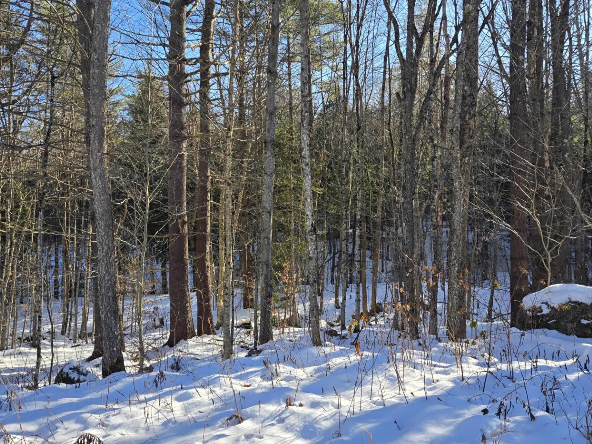 55 Lakeview Heights Alexandria NH 03222