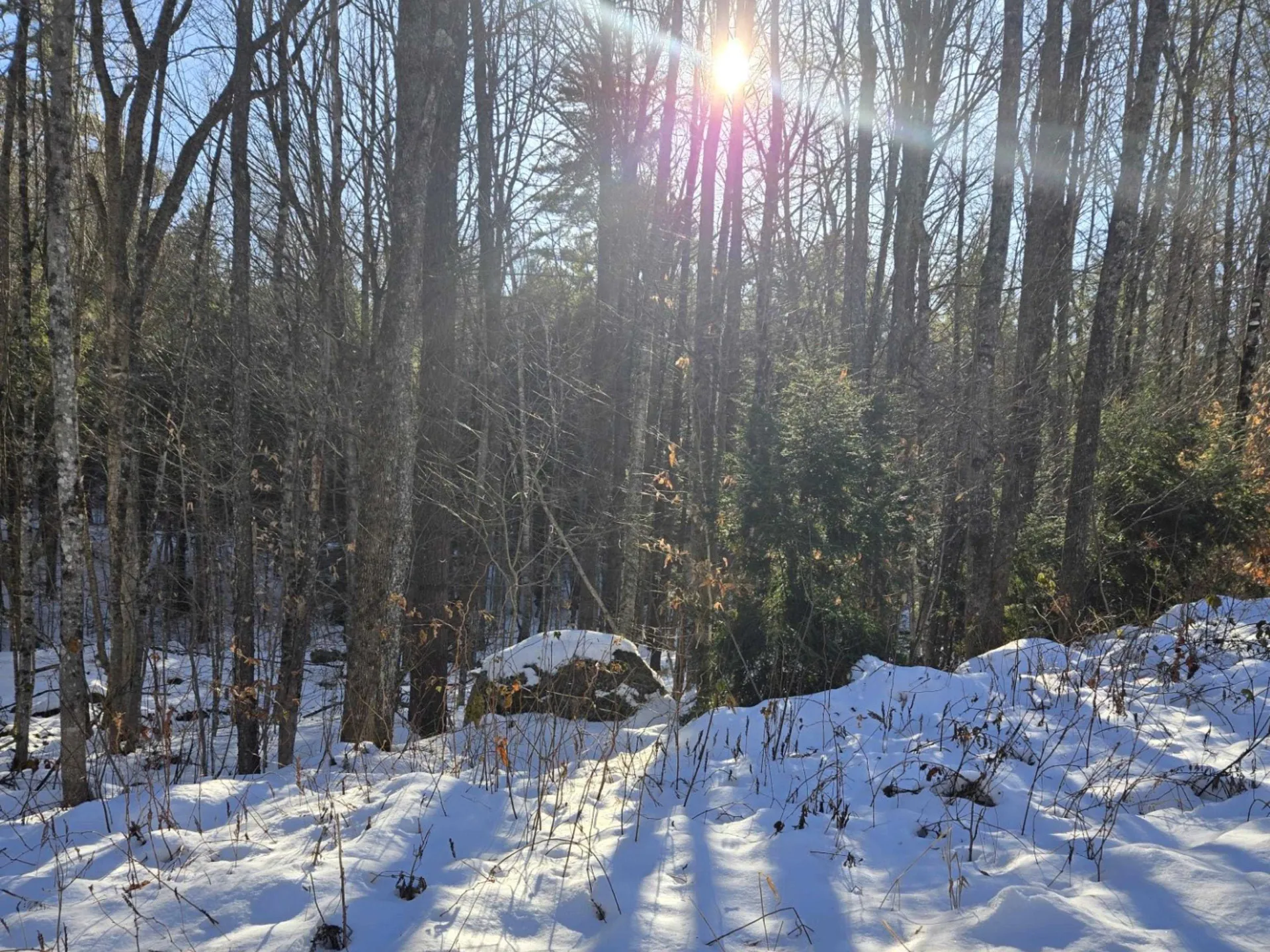 55 Lakeview Heights Alexandria NH 03222