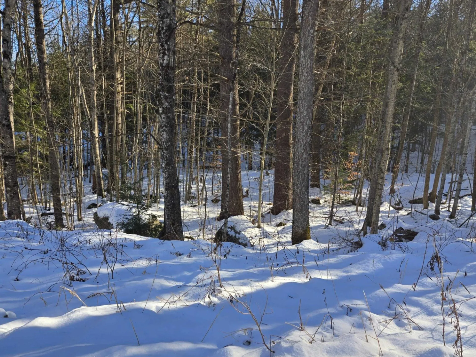 55 Lakeview Heights Alexandria NH 03222