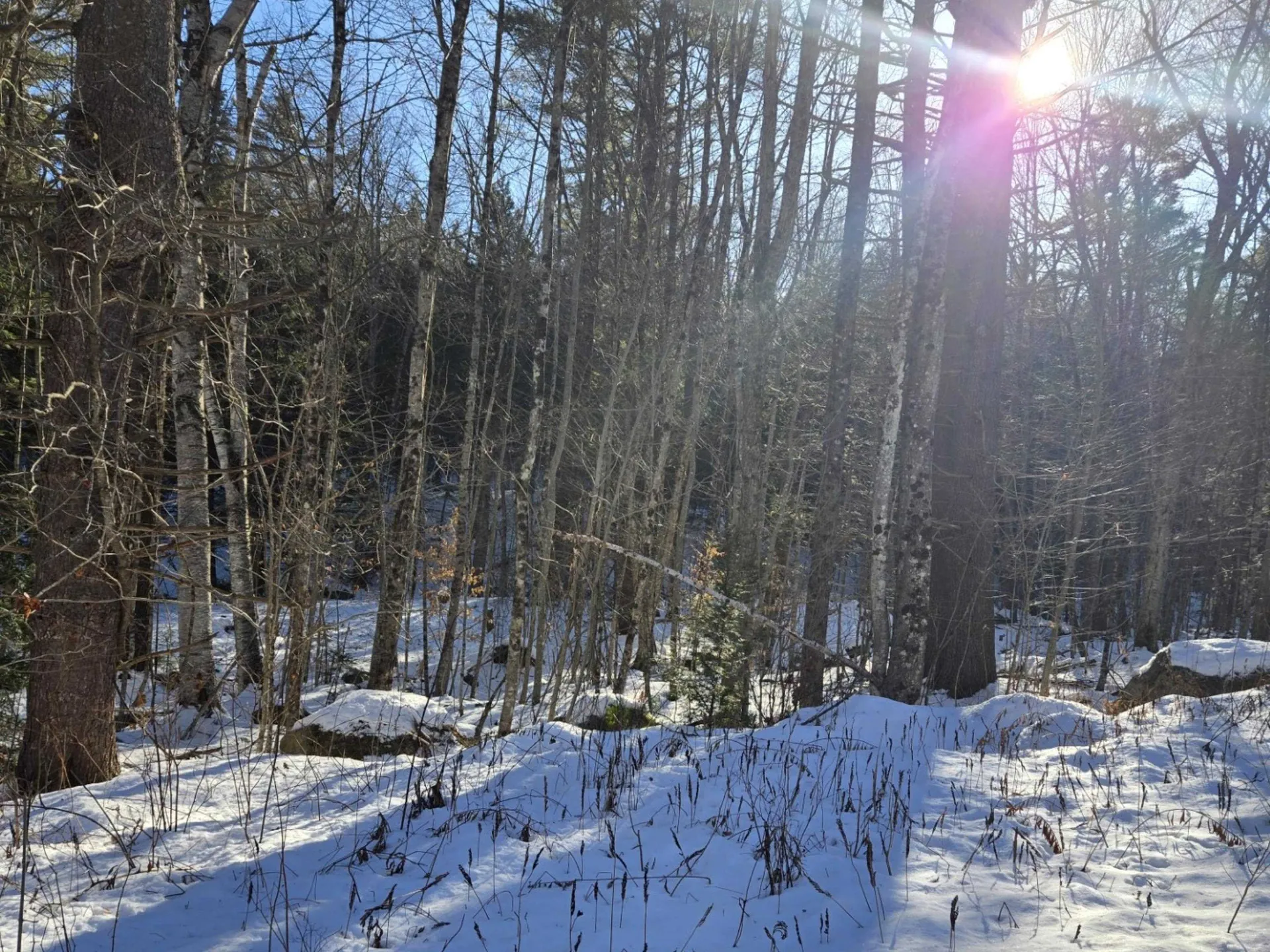 55 Lakeview Heights Alexandria NH 03222