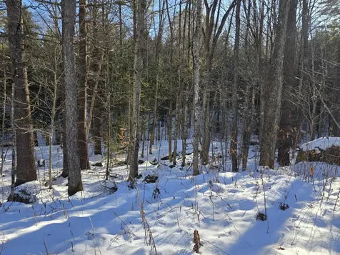 55 Lakeview Heights Alexandria NH 03222
