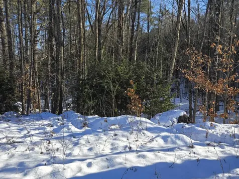 55 Lakeview Heights Alexandria NH 03222