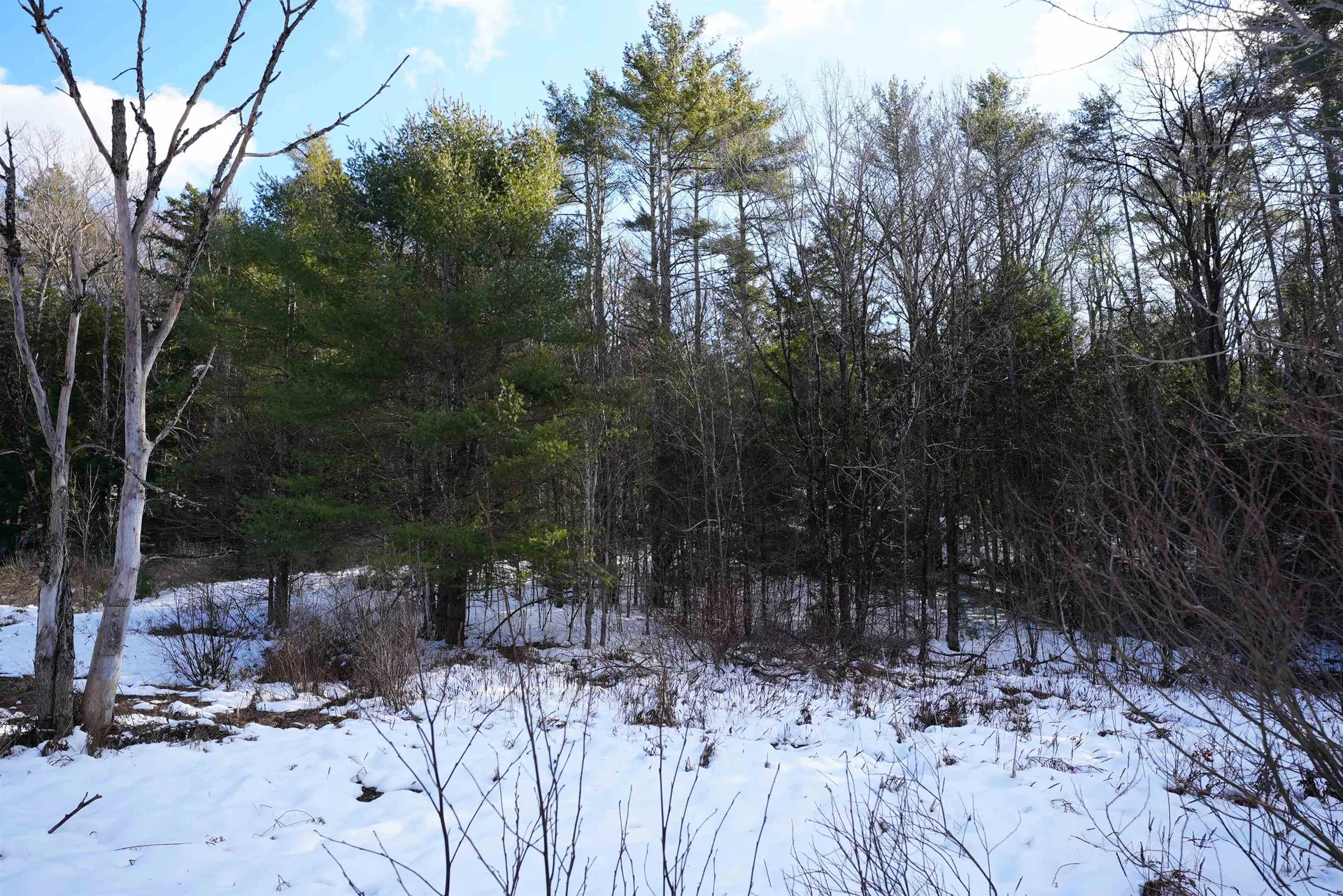 Lot 194-58 Route 114 Sutton NH 03221