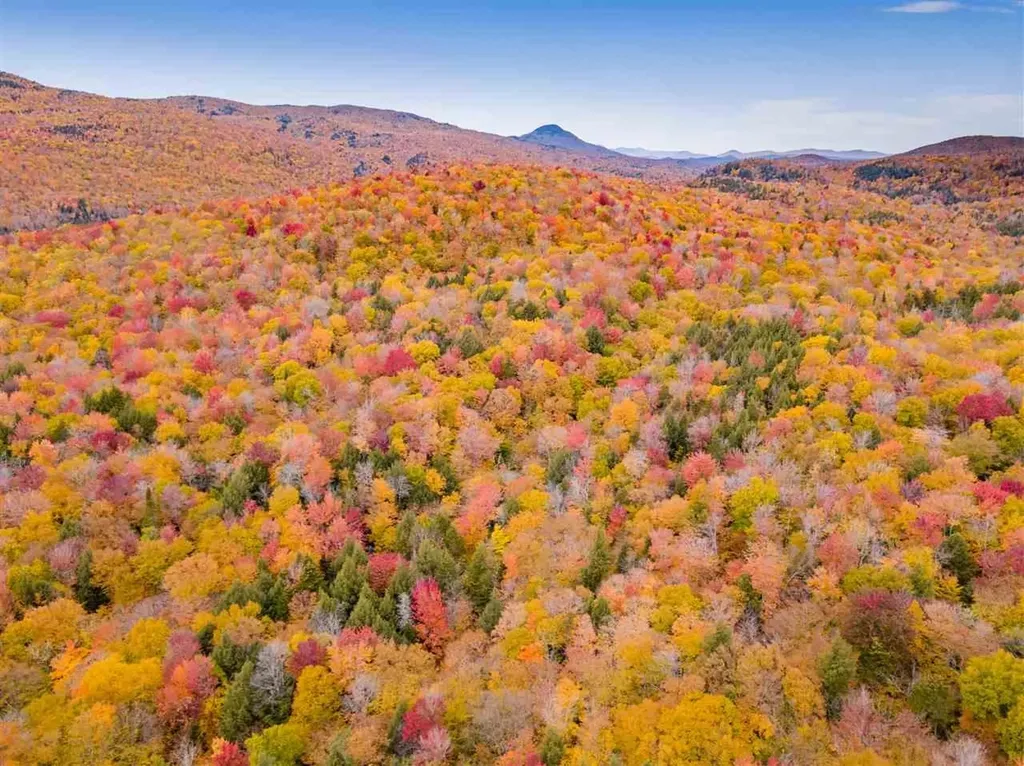 4000 Hardwood Flats Road Elmore VT 05657