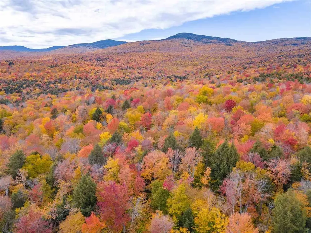 4000 Hardwood Flats Road Elmore VT 05657