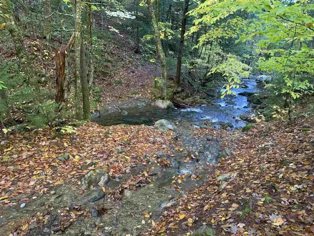 4000 Hardwood Flats Road Elmore VT 05657