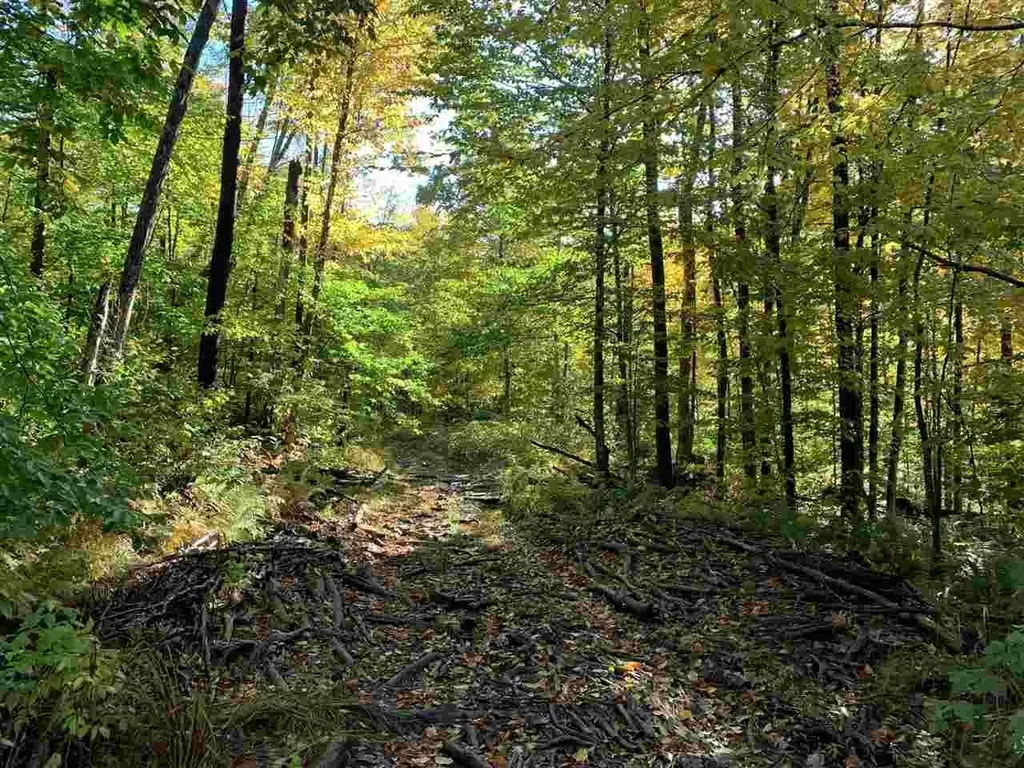 4000 Hardwood Flats Road Elmore VT 05657