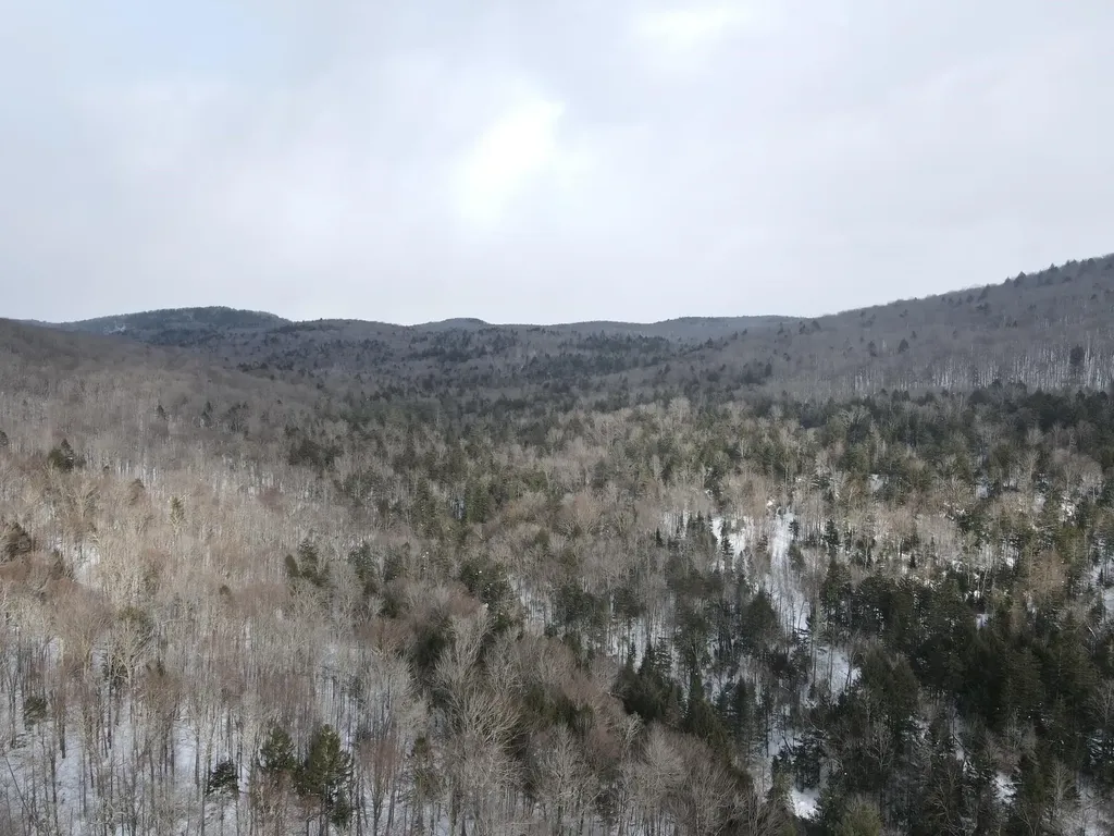 4000 Hardwood Flats Road Elmore VT 05657